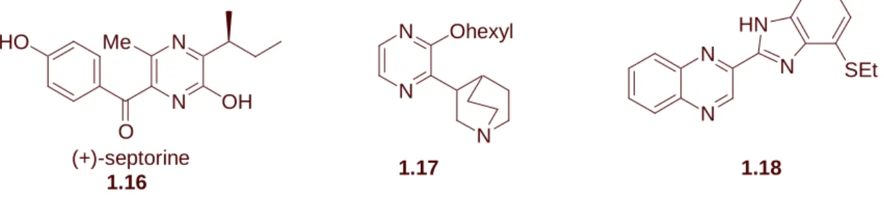 Figure 1- 25 : Le  noyau pyrazine 