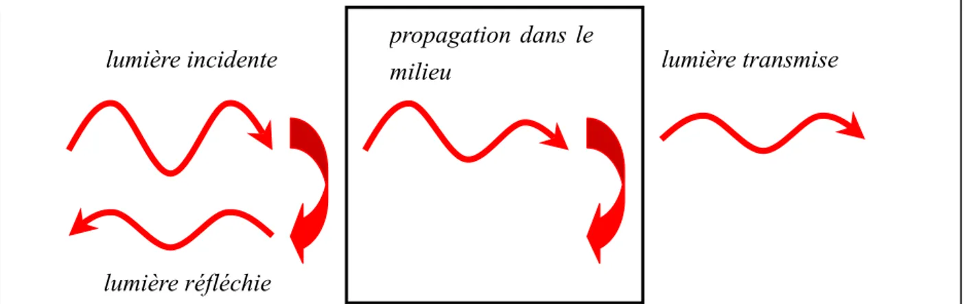 figure 2-6  −  réflexion, propagation et transmission d'un faisceau lumineux incident dans un 