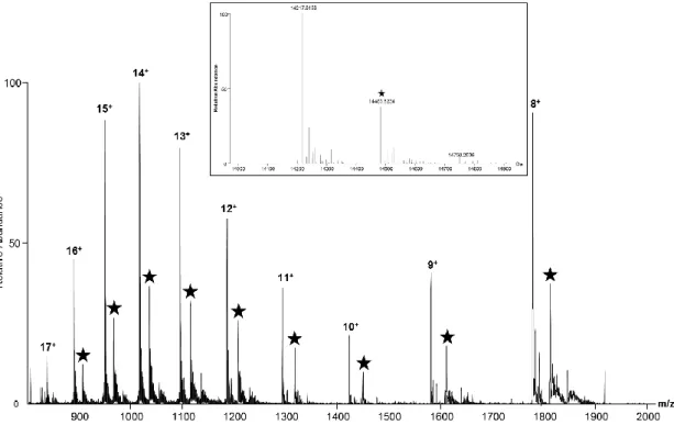 Figure 22 - Mass profiling of the small protein PpdD purified from E. coli and present in two major  proteoforms 