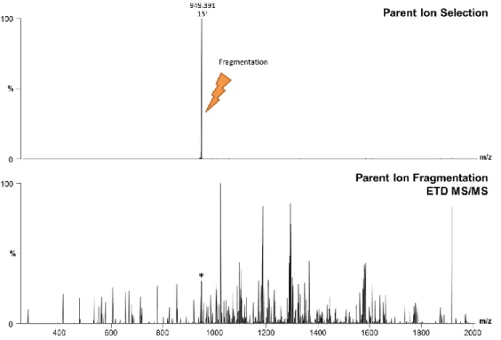 Figure 23 - Protein parent isolation (PpdD 15 +  charge state) and top-down ETD MS/MS performed on an 