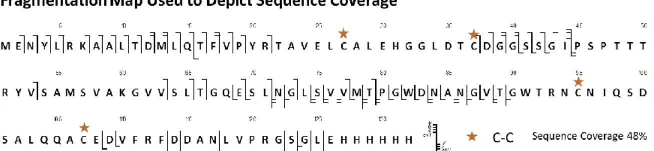 Figure 25 - Typical fragmentation map used to visualise top-down data 