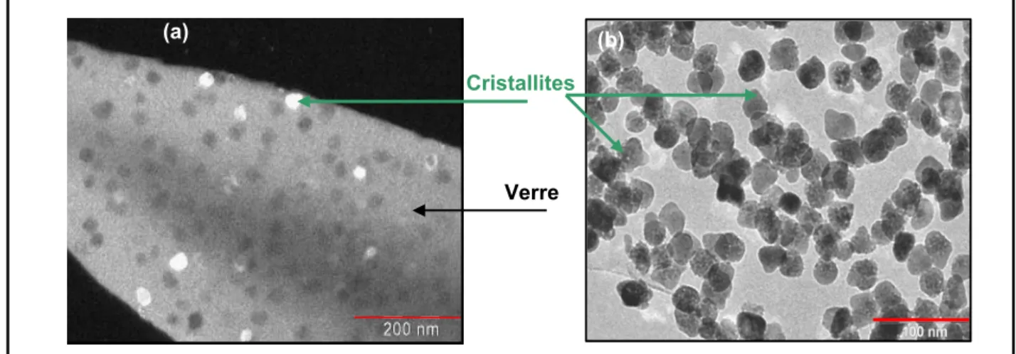 Figure II.2 : Image de microscopie électronique à transmission (a) de la vitrocéramique 