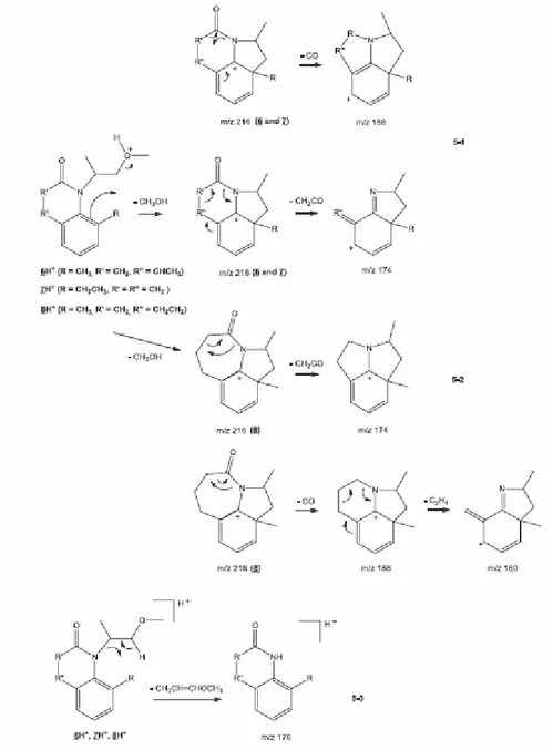 Figure 5. Main dissociation pathways of the protonated ions of isomers 6, 7 and 8. 