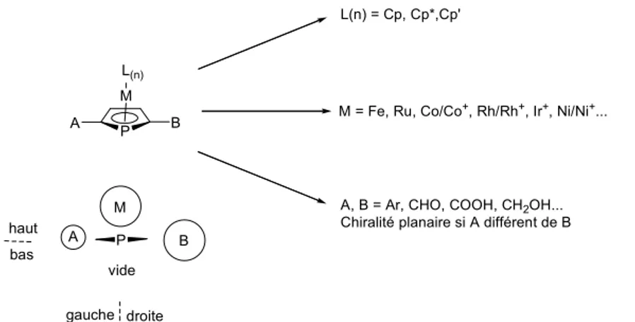 Figure I-5 : Modularité des phosphamétallocènes, combinaisons multiples de trois composants eux-mêmes  modifiables