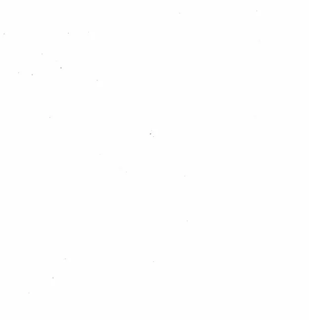 Figure 1- Flow Diagram,  ..................................... . ...... .. ..... . ..