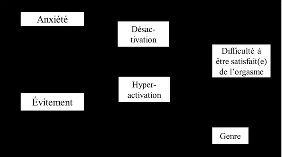 Figure  5.  Rôle  médiateur  des  tendances  du  système  sexuel  dans  le  lien  unissant  les 