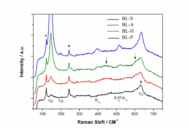 Figure 2.3 Raman spectra of the various prepared TiO 2  blocking layers on FTO/Glass 