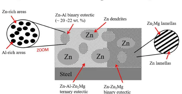 Figure 2: Scheme of the cross-section of ZnAlMg coated steel. Zn-Zn 2 Mg binary phase is composed of 