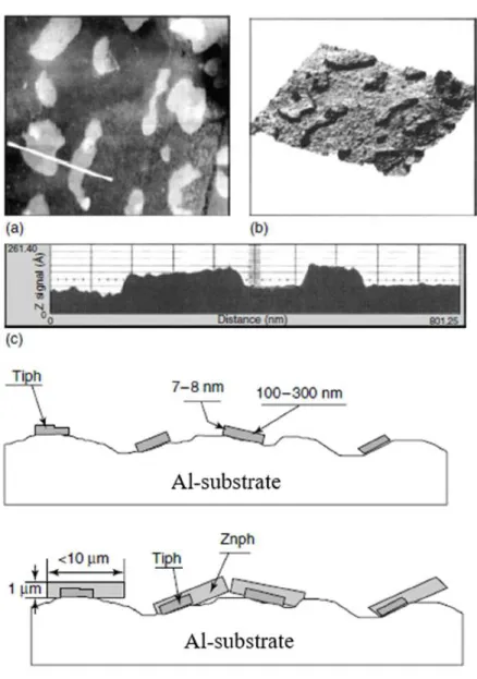 Figure 6: Germination of PCC crystals on sites with adsorbed activator [37] 