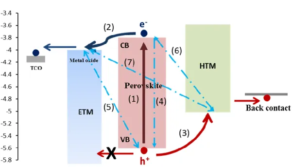 Figure 1.16. Schematic representation of the energy levels and electron transfer processes in perovskite  solar cells [43]
