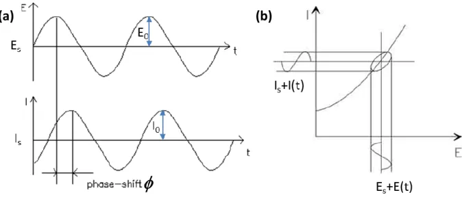 Figure 1.22. (a) Sinusoidal Current Response in a linear system. (b) Steady-state and ac I versus E curves  upon impedance measurement