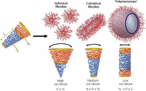 Figure  1.1.  Self-assembly  structures  of  amphiphilic  block  copolymers:  spherical  micelles,  cylindrical  micelles  and  polymer  vesicles,  with  corresponding  packing  parameters