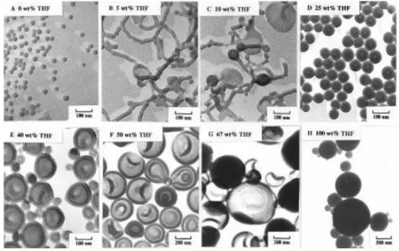 Figure 1.6. TEM images of self-assemblies of PS 200 -b-PAA 18  from solutions in DMF, 