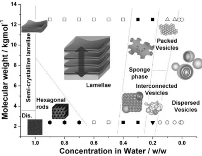 Figure  1.7.  A  series  of  structures  from  the  hydration  process  of  PEG-block- PEG-block-poly(butylene oxide) (PEG-b-PBO)