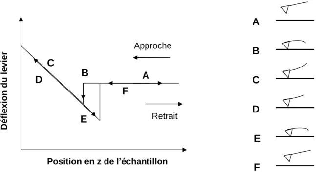 Figure 12 : Courbe typique d’approche-retrait donnant la déflexion du levier en fonction du déplacement vertical de l’échantillon.