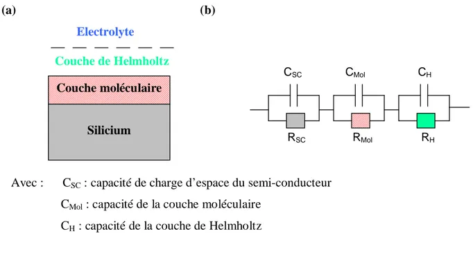Figure 17 : a) schéma de l’interface semi-conducteur/électrolyte. b) circuit électrique équivalent.