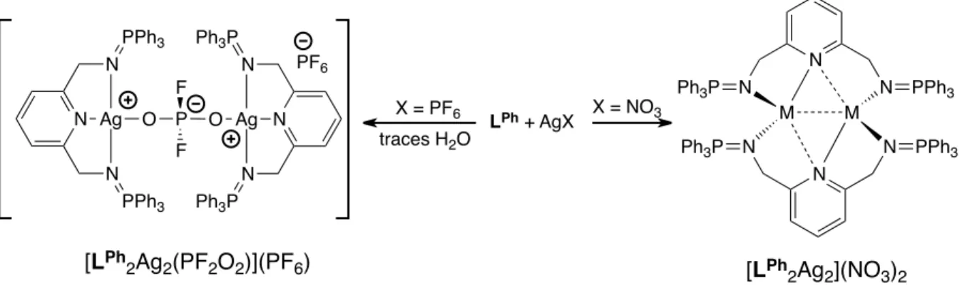 Figure  16  –  ORTEP  de  [L Ph 2 Ag 2 ](NO 3 ) 2   –  Deux  molécules  de  dichlorométhane,  les  deux  contre-ions  nitrates,  les  atomes 