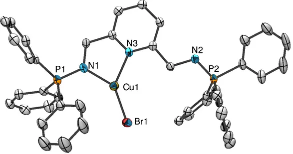 Figure 17 - ORTEP de [L Ph CuBr]  – Les atomes d’hydrogènes et une molécule de benzène ont été omis pour plus de clarté