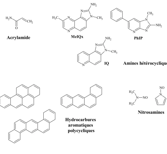 Figure 8 : Quelques exemples de composés potentiellement cancérigènes formés par  chauffage et cuisson d’aliments (Jagerstad &amp; Skog, 2005)