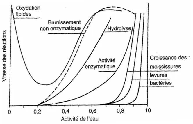 Figure 14 : Vitesse des réactions de dégradation des aliments en fonction de l’activité de  l’eau à température ambiante (Lorient &amp; Tainturier (2002), d’après Labuza, et coll.,  1970)