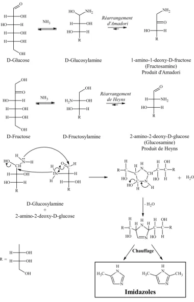 Figure 20 : Schéma de formation des imidazoles à partir d’ammoniac, de glucose et de  fructose (Kort, 1970)