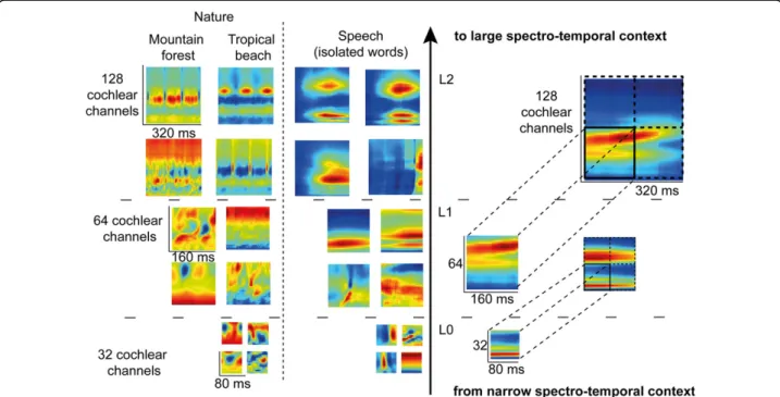 Figure 1 Learned representations illustrated for speech and natural sounds. FastICA training is first done on patches of 80ms x 32 cochlear channels of the envelopes coming from a 128 channels cochleagram (Level L0)