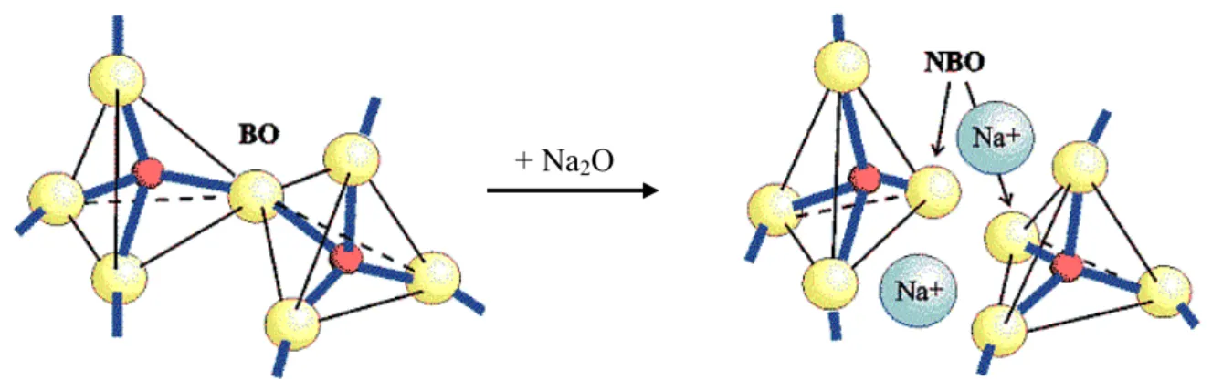 Figure 2: Rupture d’une liaison Si-O-Si et création de deux atomes d’oxygène non pontants  par ajout de Na 2 O [10]
