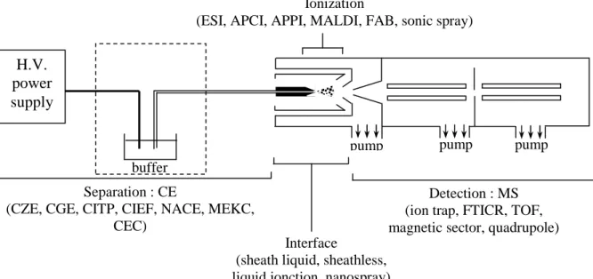 Figure 3 : Première représentation schématique de la configuration du couplage CE/MS [37] H.V