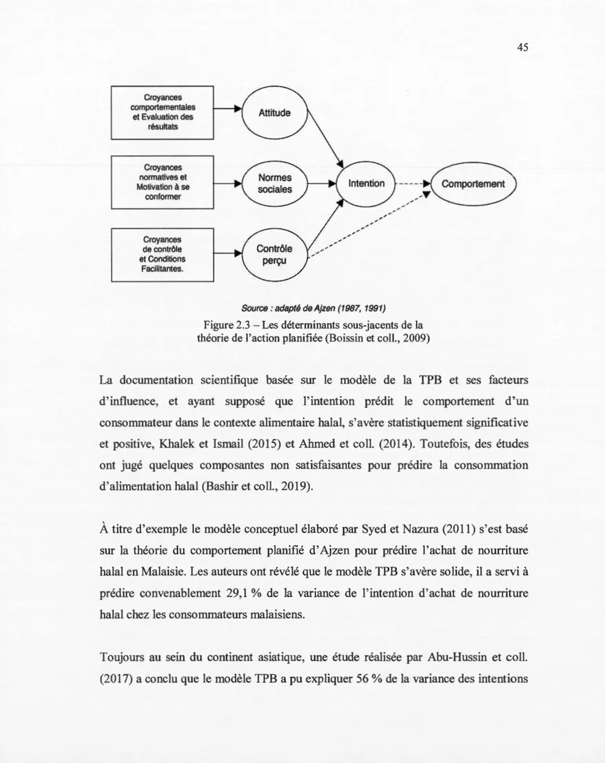 Figure 2.3 - Les déterminants sous-jacents de la  théorie de l'action planifiée (Boissin et coll., 2009) 