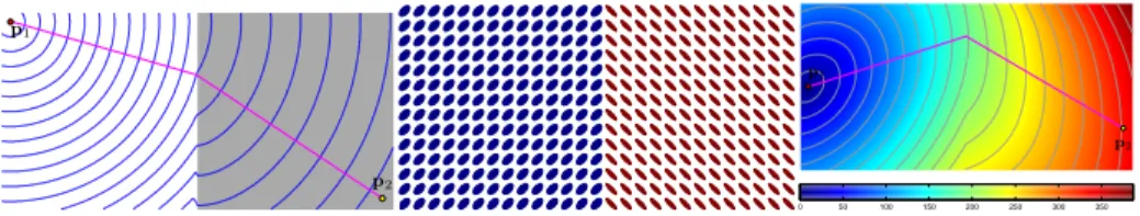 Fig. 1. Minimal path examples on an isotropic case on the left image. On the middle, visualization by small ellipses of eigenvalues of a metric constant on each half side of the image