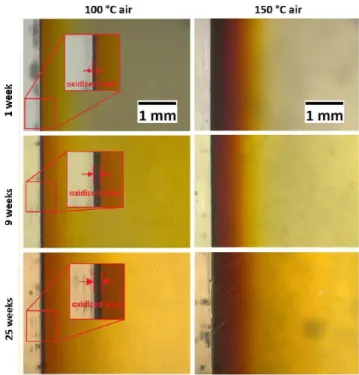 Figure 1.11: Polished sections of PDCPD samples aged in different environments [27]. 