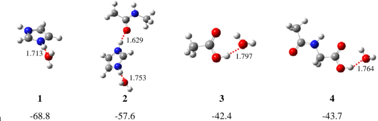 Figure 5. Optimized geometries (M06/6-311++G(d,p)) of models. Hydration enthalpies are in kJ mol - -1
