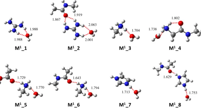 Figure III.1.13. Modèles pour la mono-hydratation des sites chargés guanidinium, ammonium  et imidazolium