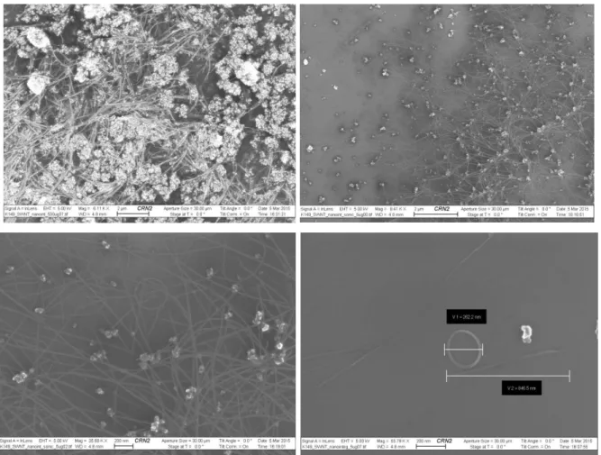 Figure 3.5 : Image SEM de SWCNT sur un substrat de Si. (a) concentration de 500µg/ml. (b)(c) et (d) concentration de 5µg/ml