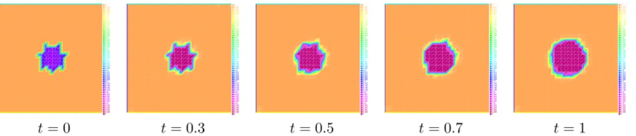Figure 3 depicts the evolution of the numerical solution ρ h,m for m = 100 and with a time step