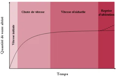 Figure 1-2 : Evolution de la quantité de verre altéré en fonction du temps. 