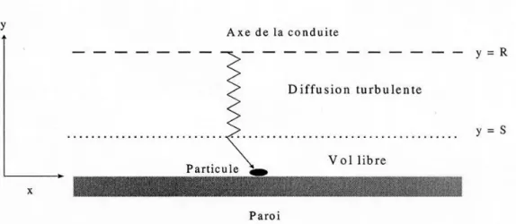 Figure I.4 : Schéma du parcours d’une particule dans une conduite selon le modèle  PACTOLE [42]