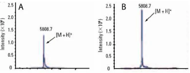 Figure 11 : Spectre de masse MALDI de l’insuline dans des matrices (A) CHCA et (B)  IL [61] 