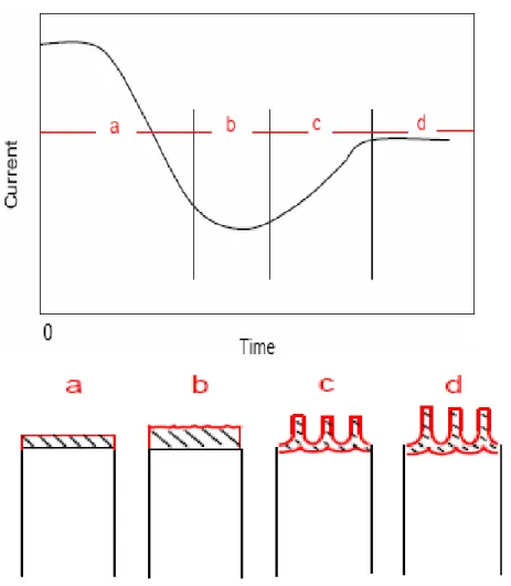 Figure 2-3: Schematic diagram of the kinetics of porous oxide growth on aluminium in (a) potentiostatic regime (b) The stages 