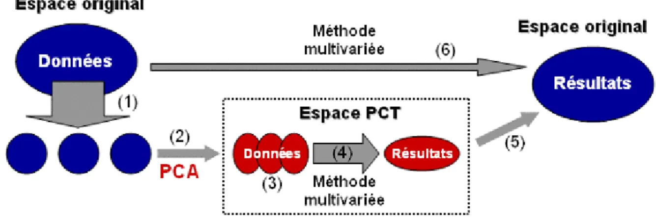 Figure 8 : Schéma de l’application d’une méthode multivariée appliquée à l’aide de la seg-PCT (1-5) par rapport 