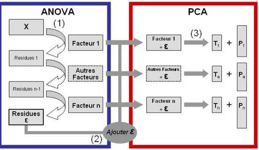 Figure  16 :  schéma  de  l’A-PCA  standard.  Dans  une  première  phase  (bleue,  phase  ANOVA)  on  calcule  les 