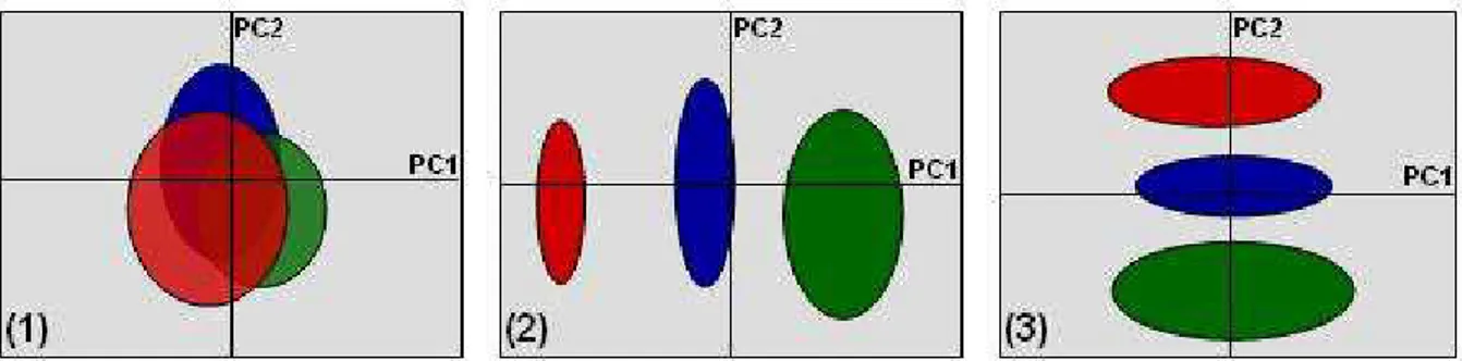 Figure 17: les trois types de résultats possibles pour les coordonnées factorielles de l’APCA pour un facteur à 3 