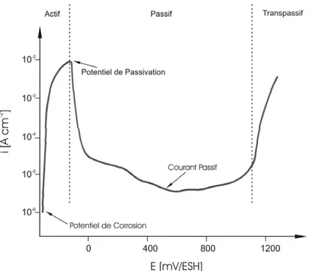 Figure 1.1 : Courbe de polarisation d’un alliage Fe-17Cr dans H 2 SO 4 0,5M. Vitesse de balayage en potentiel : 200 mV/min  [2] 