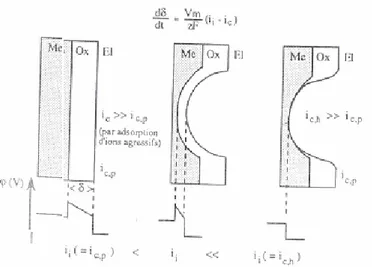 Figure  8 :  Adsorption  d’ions  chlorures  sur  la  surface  du  film  passif  qui  catalyse  sa  dissolution (Figure 32-c  [ 59 ] )