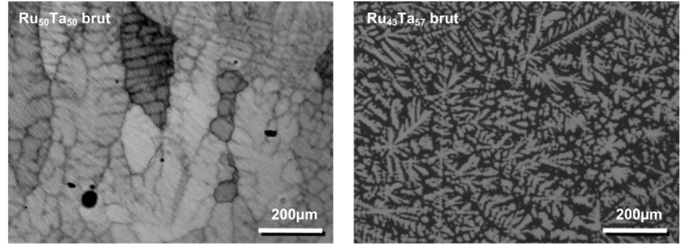 Figure 5 : Micrographies optiques des alliages Ru 50-x Ta 50+x  bruts après attaque chimique