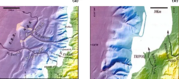 Figure I.2.  Canyons sous-marins  localisés entre Beyrouth et Batroun (a) et au Nord de  Tripoli (b) (d‘après Elias (2006))