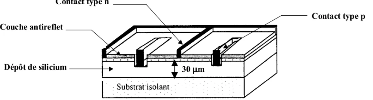 Figure 12 : Structure d'une cellule photovoltaïque sur substrat isolant: cellule à contacts interdigités30 µµµµm