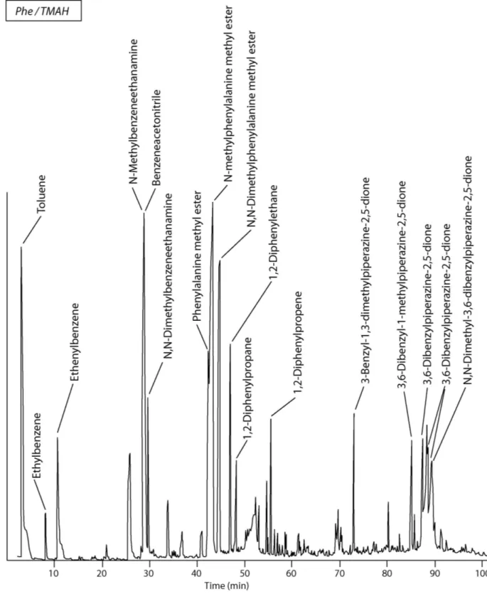 Fig. 9 : Pyrochromatogram of phenylalanine, pyrolysed in the presence of TMAH at 650°C