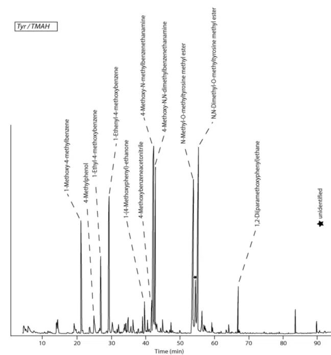 Fig. 10 : Pyrochromatogram of tyrosine, pyrolysed in the presence of TMAH at 650 °C. 