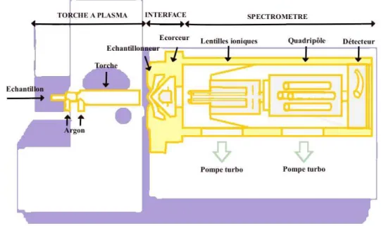 Figure 1 : Schéma simplifié des différents éléments constitutifs d’un ICP-MS 